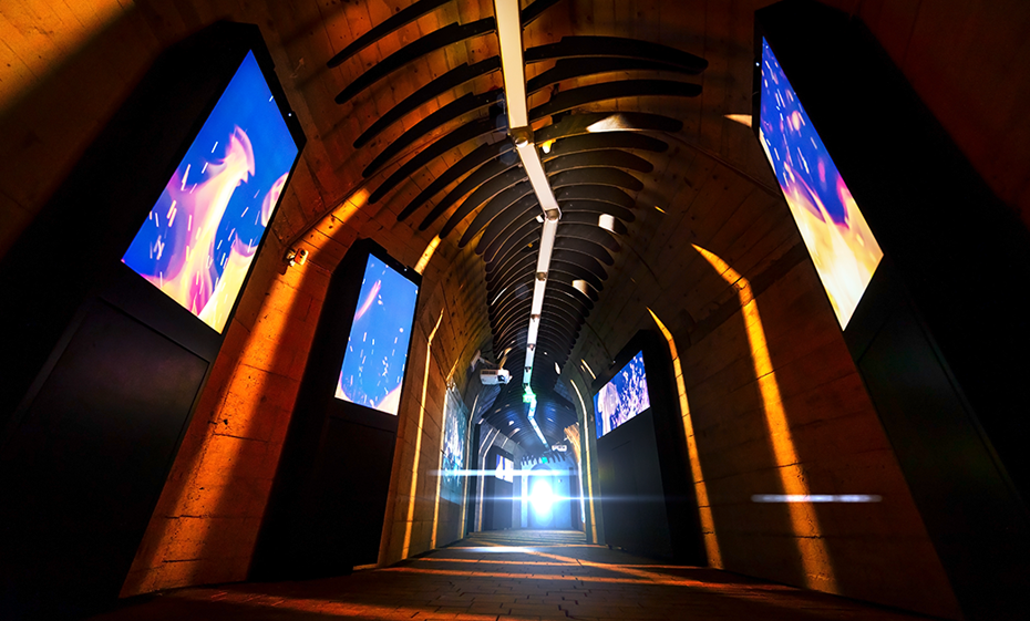Time Tunnel
